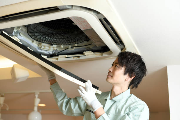 Best Home Air Vent Cleaning  in Wesley Chapel, FL